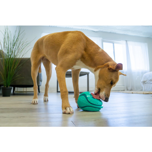 Kong Licks rewards likmat