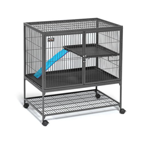 Ferret nation type 181