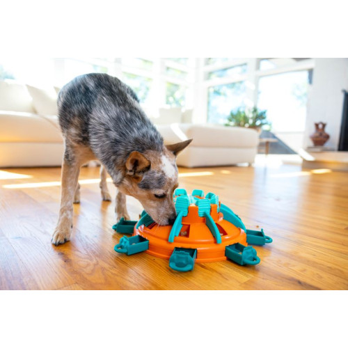 Nina Ottosson Tower of Treats Voerpuzzel level 4