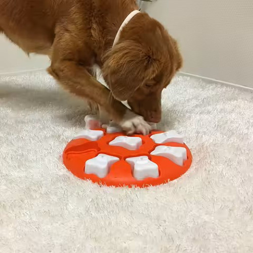 Nina Ottosson Dog Smart Origineel Voerspeelgoed Level 1