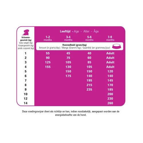 Prins Protection Croque Mini Junior Performance Hondenbrokken