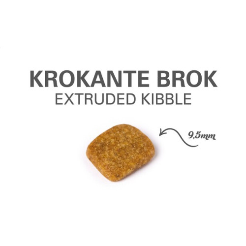 Prins VitalCare Senior Kattenbrokken