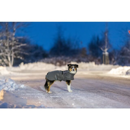 Trixie Hondenjas Limoux steengrijs