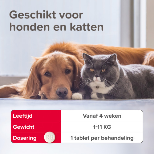 Beaphar Vlokill+ Kat/kleine hond