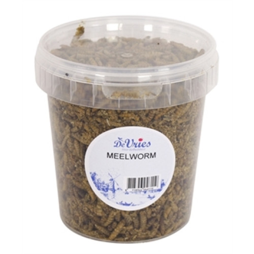 De Vries Meelwormen