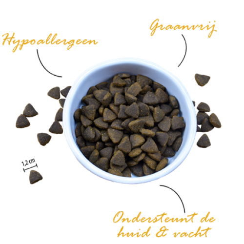 Riverwood Adult Zalm & Witvis met Haring Hondenbrokken