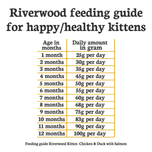 Riverwood Kitten Kip & Eend met Zalm