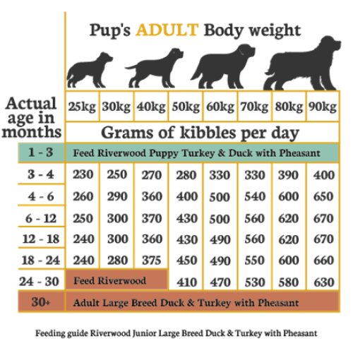 Riverwood Junior XL Eend & Kalkoen met Fazant Hondenbrokken