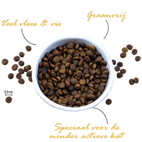 Riverwood Indoor Kip & Eend met Zalm kattenbrokjes