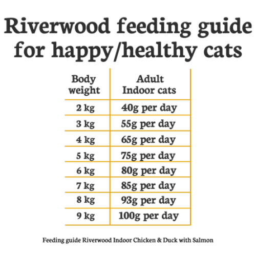 Riverwood Indoor Kip & Eend met Zalm kattenbrokjes
