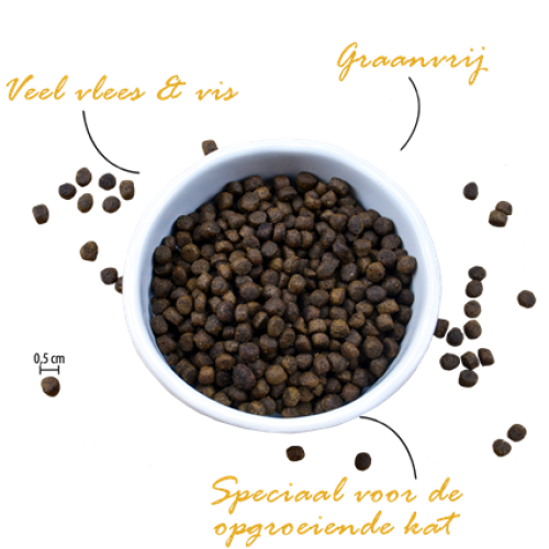 Riverwood Kitten Kip & Eend met Zalm