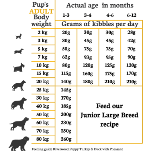 Riverwood Puppy Kalkoen & Eend met Fazant Hondenbrokken