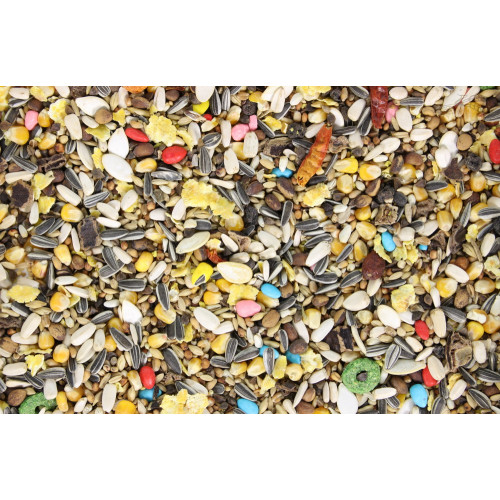 Aviplus Healthy Parrot papegaaienvoer