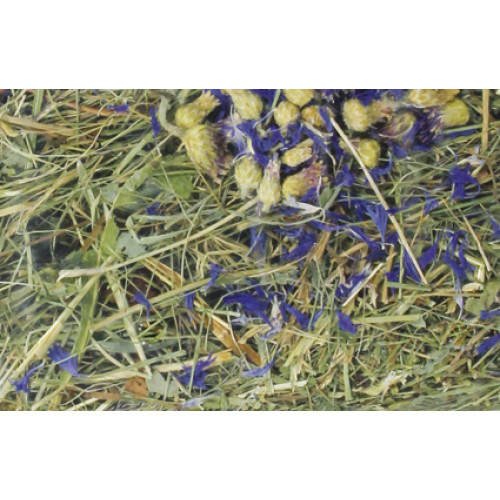 Barn-I Kruidenhooi 500 gram