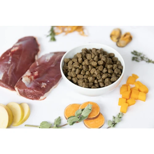 YDOLO Healthy & Pure Duck Hypoallergene Hondenbrokken