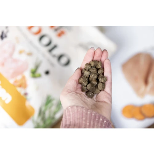 YDOLO Healthy & Pure Chicken Hypoallergene Hondenbrokken