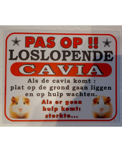 Dutch warning sign cavia "pas op" (Coloured)