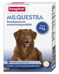 Milquestra wormtabletten hond 2 tabletten