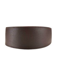 Hunter Greyhound collar Speed bruin