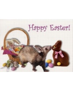 Easter Card