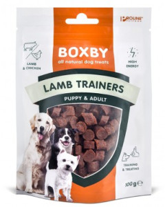 Boxby Lamb Trainers