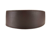 Hunter Greyhound collar Speed bruin