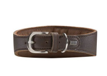 Hunter Greyhound collar Speed bruin