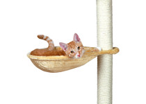 Trixie Hammock for scratching post 40 cm