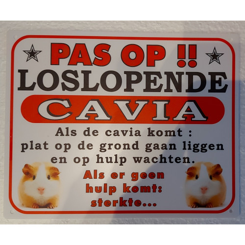 Dutch warning sign cavia "pas op" (Coloured)