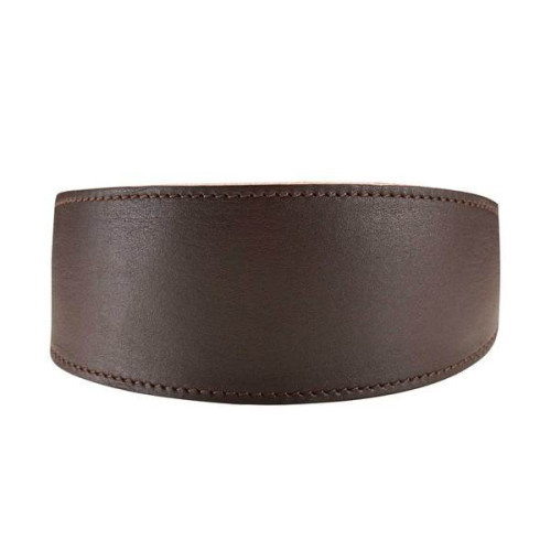 Hunter Greyhound collar Speed bruin